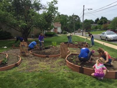 Our Lady Queen of Peace CCT Garden