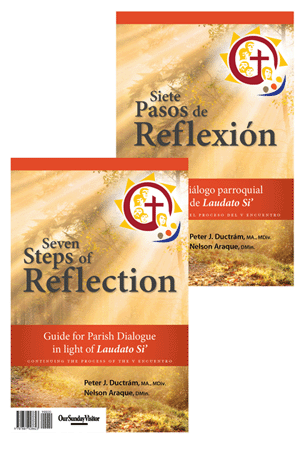 Seven Steps of Reflection 