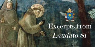 Excerpts from Laudato Si'