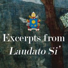 Excerpts from Laudato Si'